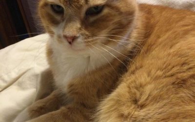 Writer’s Date—Part 2